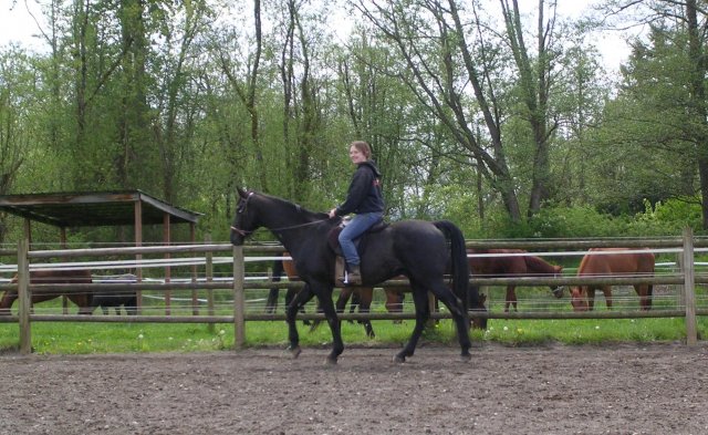 Leah & Lightning 008